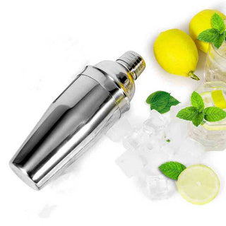 Epinox Shaker, Çelik (350 ml)